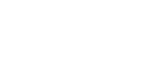 Логотип FNX